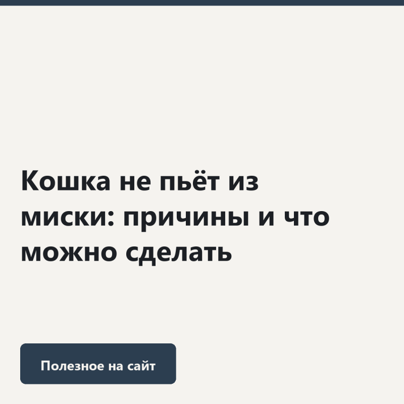 Кошка не пьёт из миски: причины и что можно сделать Кошка не пьёт из миски: причины и что можно сделать