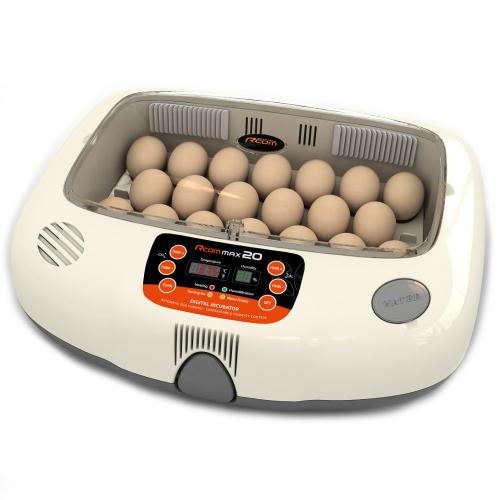 rmx-20