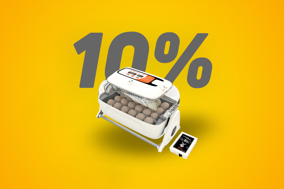Скидка на инкубаторы Rcom 10%