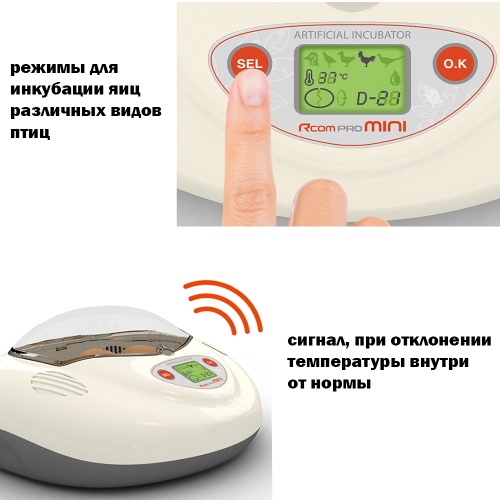 PX-03P_2