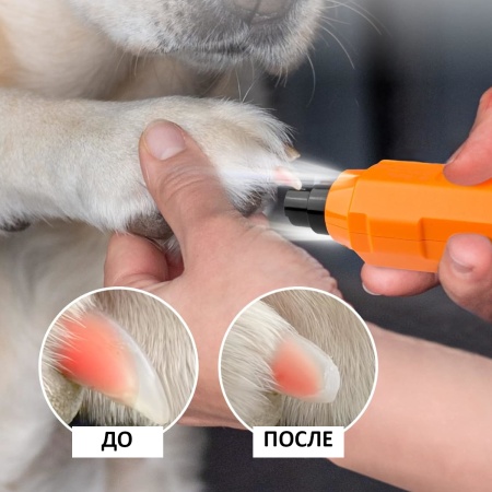 Гриндер для кошек и собак Petwant N60 USB, подсветка, LED индикатор, 6 скоростей, оранжевый