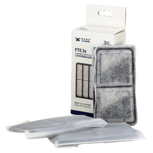 FTE2S_4