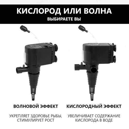 SP-1800_3