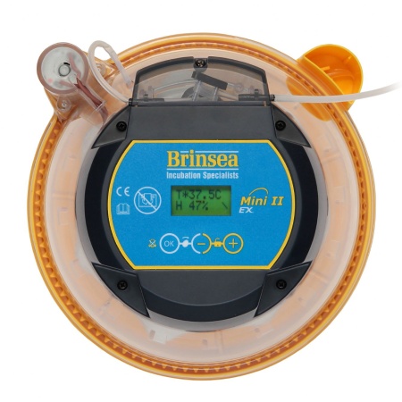 Инкубатор Brinsea Mini II EX 7 автоматический для яиц