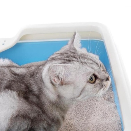 Лоток для кошек Catidea 44х44х14,5 см с совком, розовый
